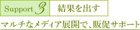 Support3 結果を出す